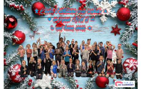 Bonnes fêtes de fin d'année